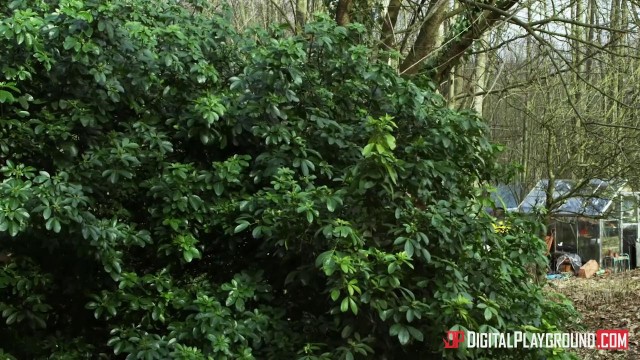 Две подружки в хижине занялись сексом с незнакомцем